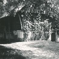 eika image
